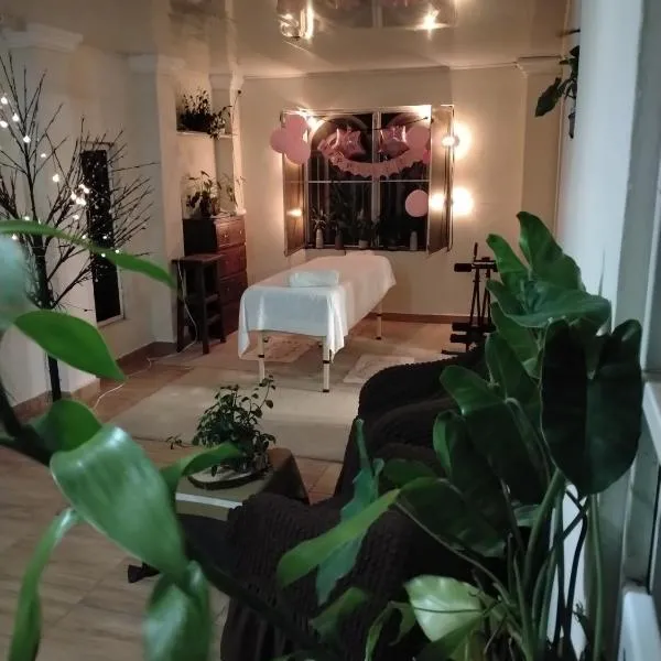 Boquete Guest House, khách sạn ở Alto Boquete