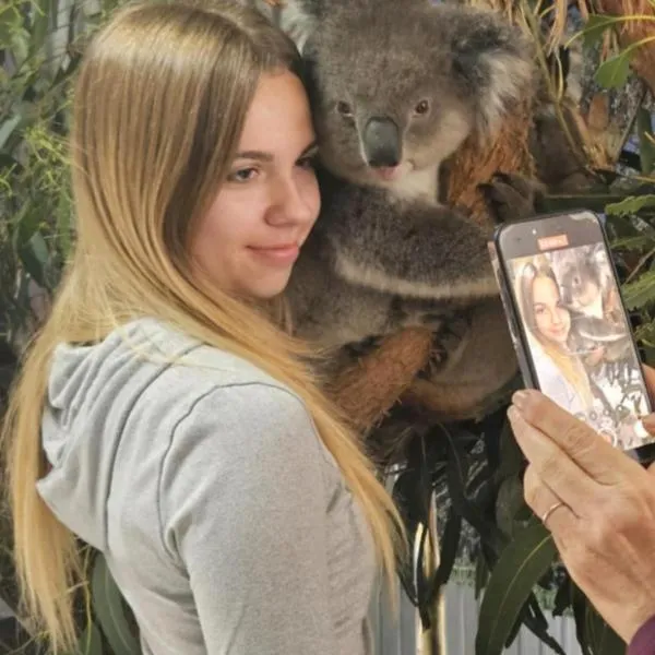 Fauna Australia Wildlife Experience, hotell i Lavers Hill