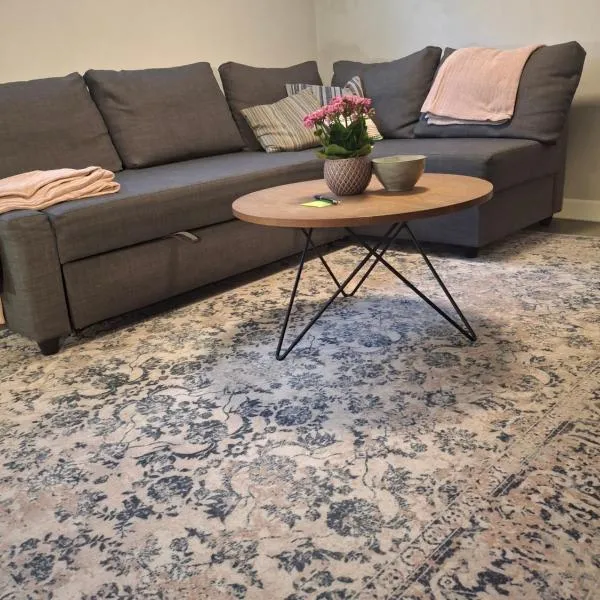Lys og hyggelig underetagebolig nær København C med gratis parkering, hotell i Rødovre
