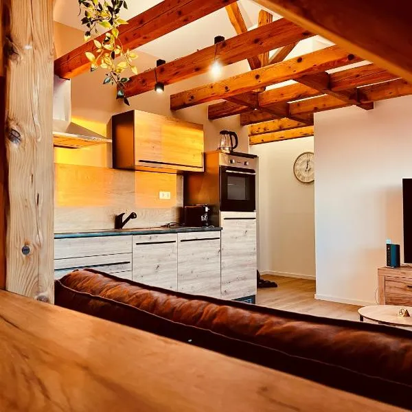 Apartments am Exerzierplatz Pirmasens, ξενοδοχείο σε Pirmasens