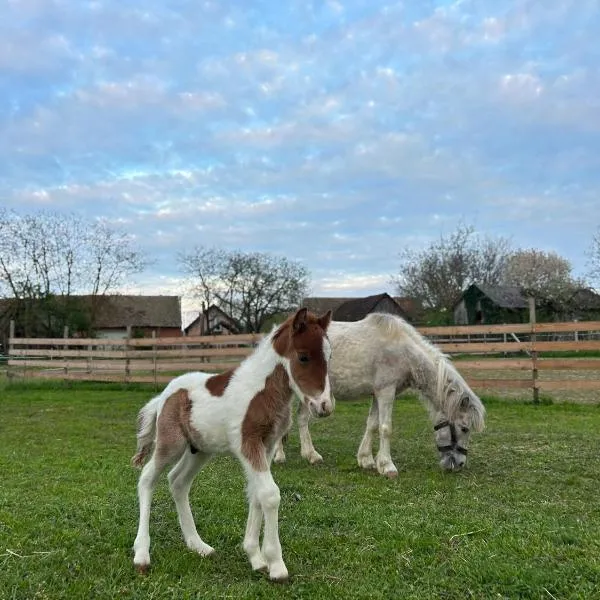 Seoski turizam Jagodić – hotel w mieście Gorjani