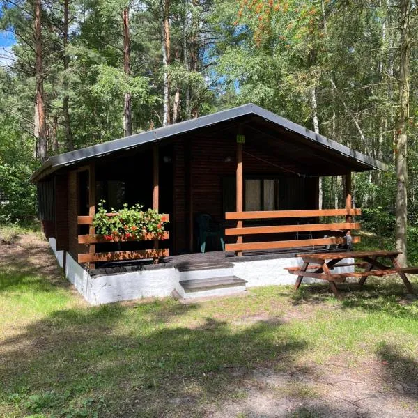 Leśnik Bungalow Stegna - domki letniskowe nad morzem, hotel Stegnában