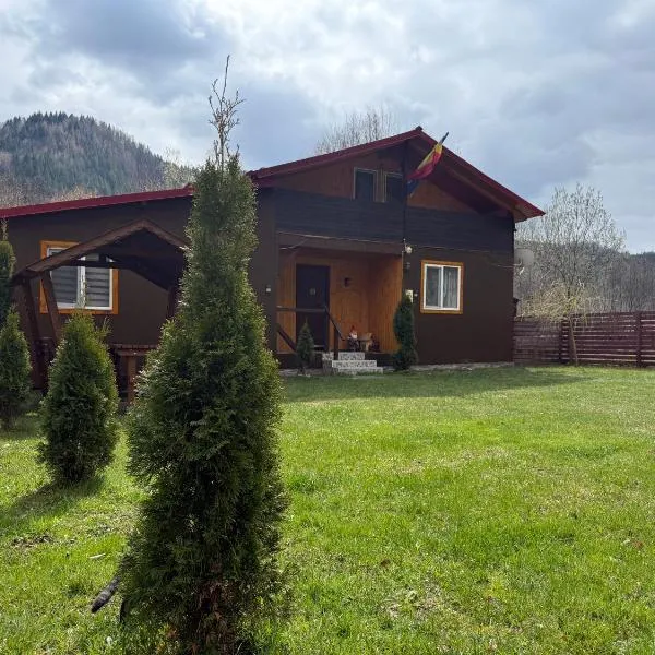 Cabana lucia, Hotel in Tarcău