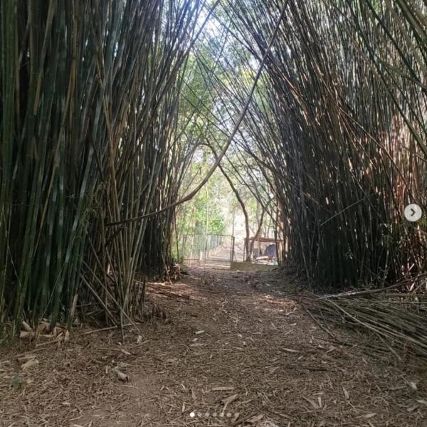 Pousada Prainha - Foto 3