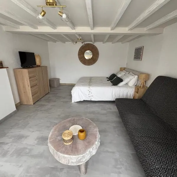 Toue de Loire, hotel in Chaumont-sur-Loire