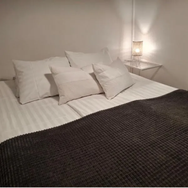 Väinö Apartment 16, отель в городе Йювяскюля