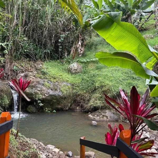 Hostal Finca Los Girasoles, hotel in Jardin