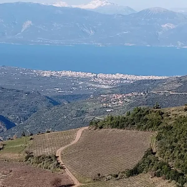 Studio Lemoni Peloponnese: Pirgákion şehrinde bir otel
