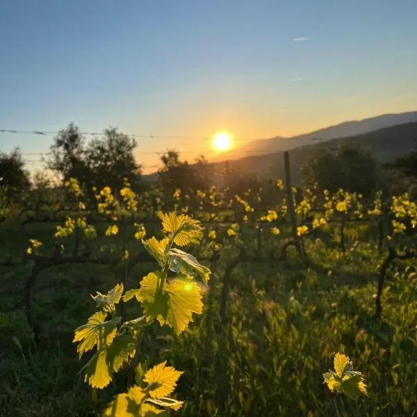 Viesnīca Poggio Madonna pilsētā Campagnatico