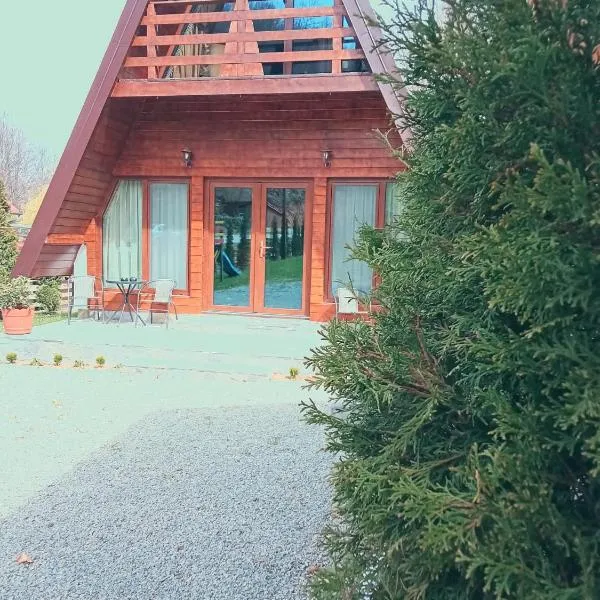Căbănuțe Izbândiș, khách sạn ở Şuncuiuş