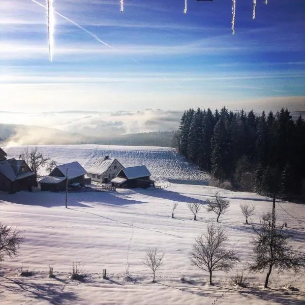 Kwatera Pod Lasem, hotel din Istebna