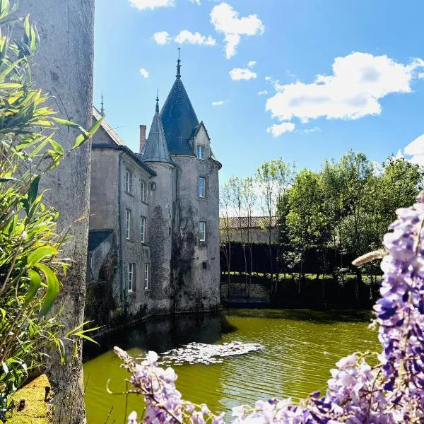 Château de la Preuille Bed & Breakfast, hotel en Montaigu-Vendée
