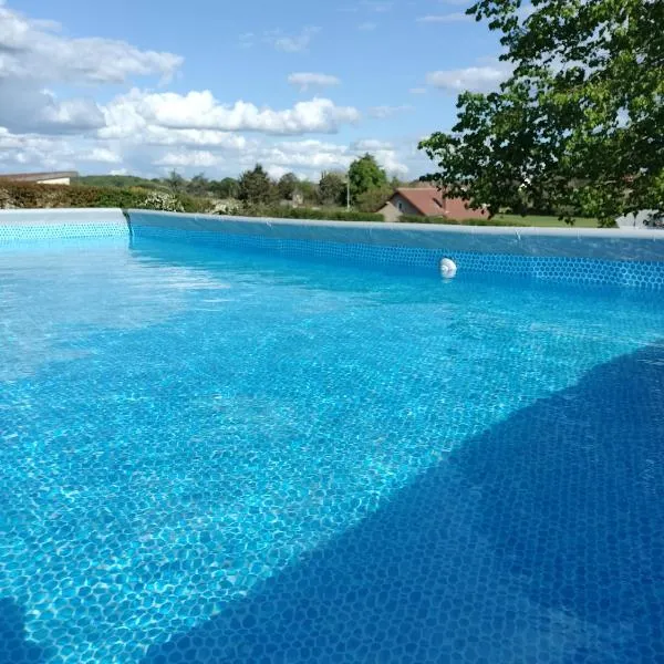 La Trimouillaise – hotel w mieście La Trimouille