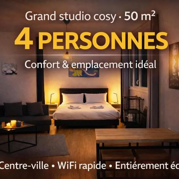 STUDIO COSY - HYPERCENTRE - CALME - 50M2 - Wi-FI, Hotel in Graulhet