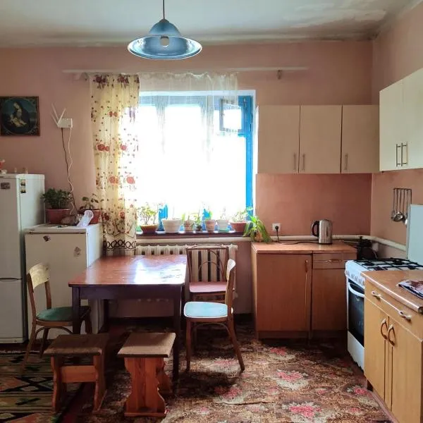 Burshtyn, hotel en Svityazʼ