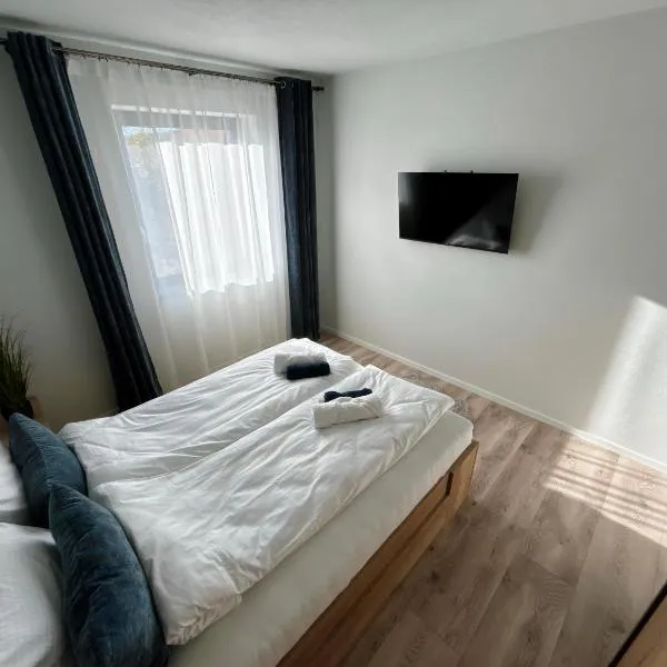 Forest Lux Apartman, хотел в Одореу Секуеш