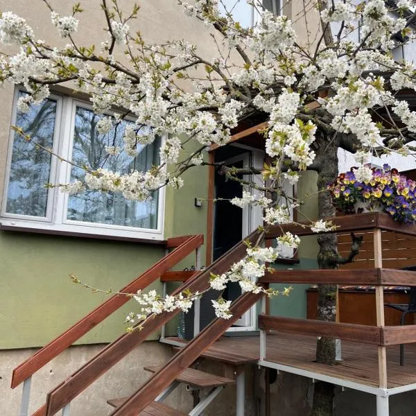 Studio pod Orzechem, hotel v destinácii Zbąszyń