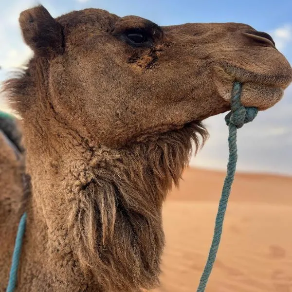 Camels house apartment, Hotel in Hassilabied