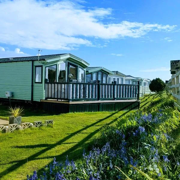 Peacehaven, Ynyslas, Borth, hotel in Borth