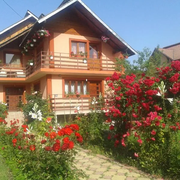 Nopti de Vara Transfăgărășan, khách sạn ở Căpăţîneni-Pămînteni