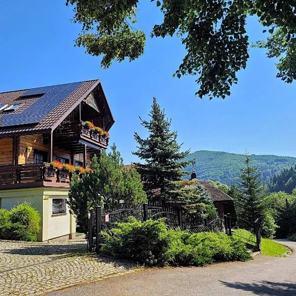 Willa Stareczka - pokoje z balkonami i widokiem na dobry dzień, zabierz pupila, hotel u gradu Visla