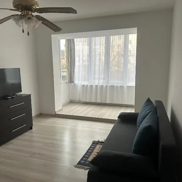 Apartamentul 5, hotel a Baia Mare