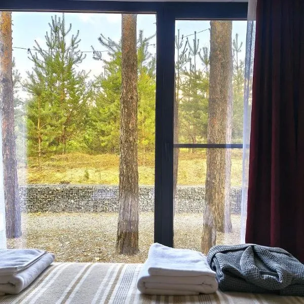 Лісове SPA, hotel v destinácii Vishenki