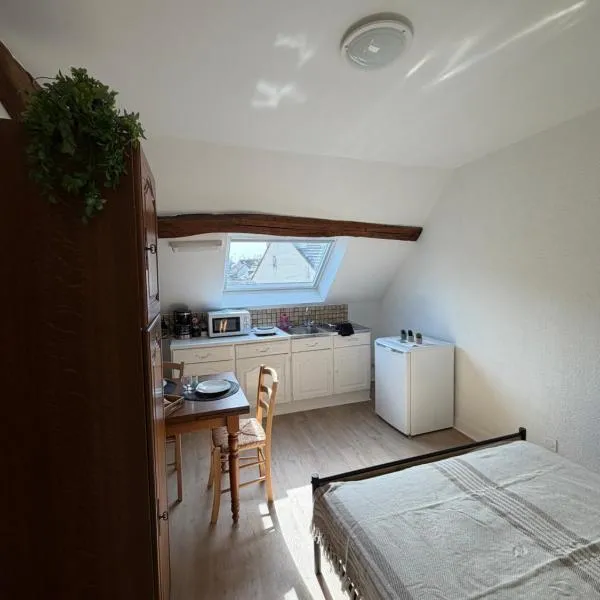 Studio 16 proche du PAL, hotel in Dompierre-sur-Besbre