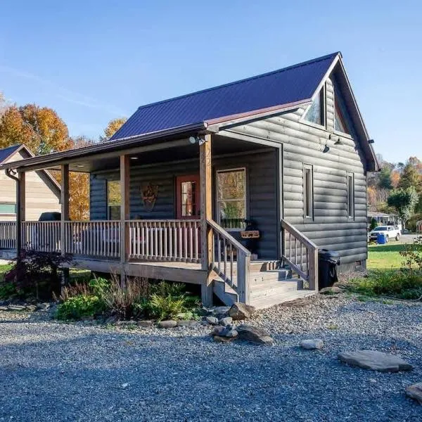 Cozy Cub at Deep Creek – hotel w mieście Bryson City