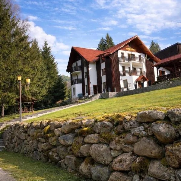Pensiunea Casa Vanatorului, hotel in Răchiţele
