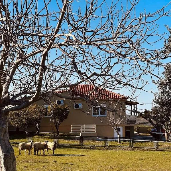 Hercules casa, hotel in Kími