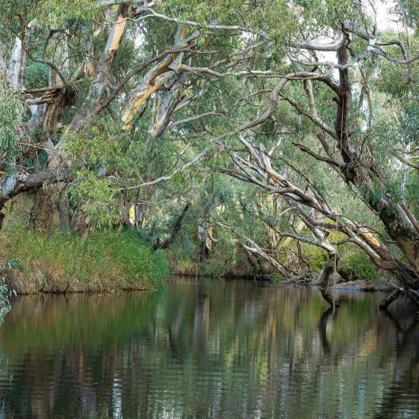 Zamenhof River Cabin - Peaceful Farm Escape - Pets Welcome, hotel in Yass