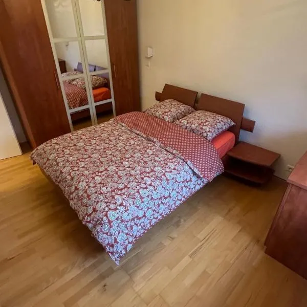 Appartement proche aéroport, Hotel in Blotzheim