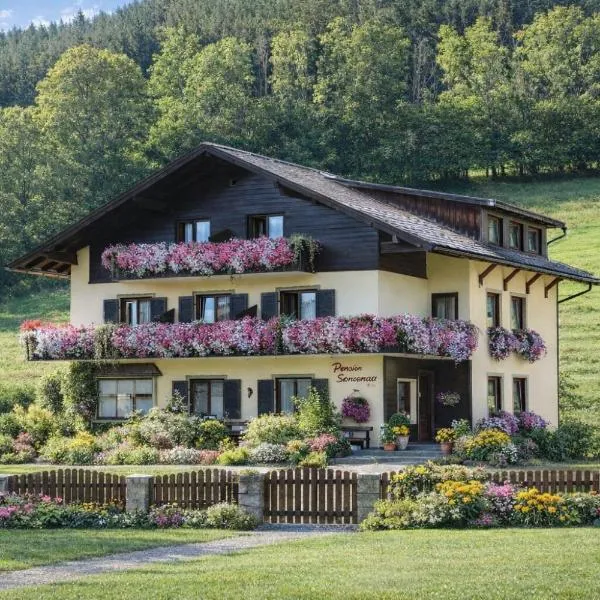 Pension Speckmoser – hotel w mieście Bad Mitterndorf