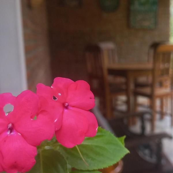 Chalé Guaíras - Foto 4