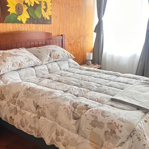 Departamento Pleno Centro Puerto Varas, hotel in Puerto Varas