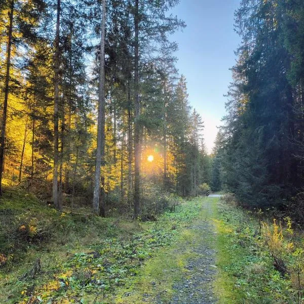 GREEN DOLOMYTE Apartment, hotel v mestu Schilpario