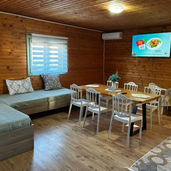 Casa B&P, ξενοδοχείο σε Costinesti