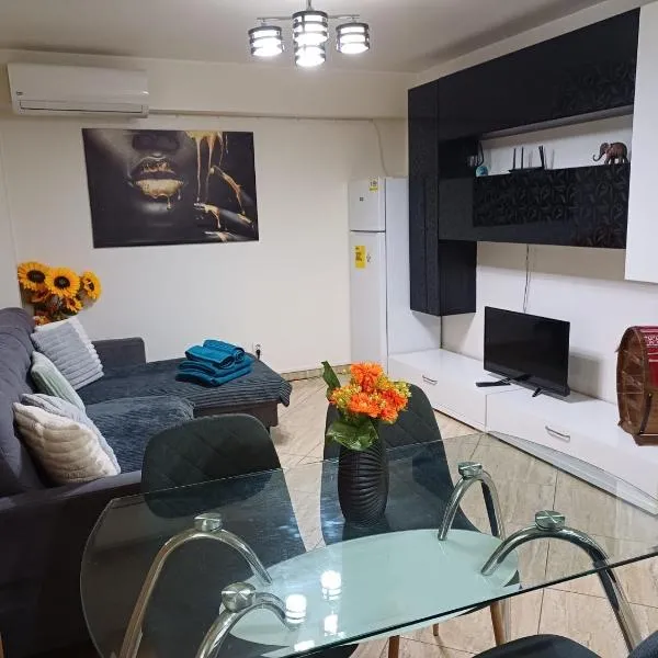Apartament de lux cu 3 camere, hotell i Bacău