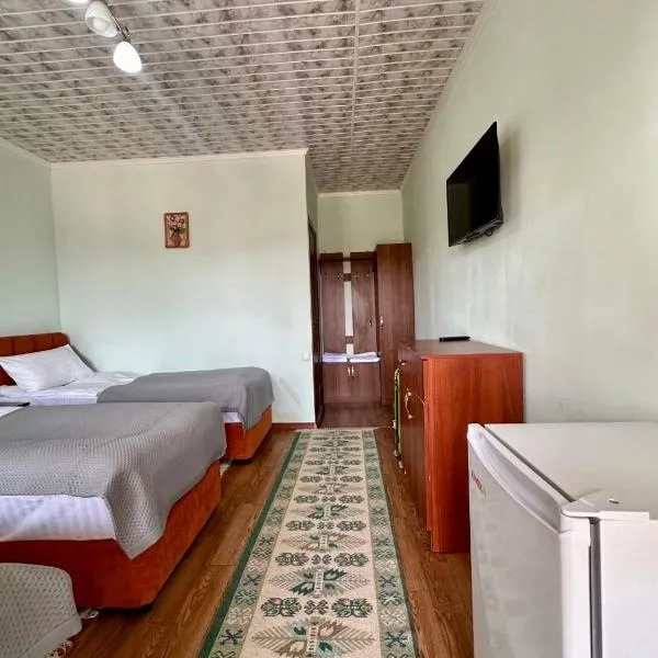 AltynAi Guest House, Hotel in Tscholponata