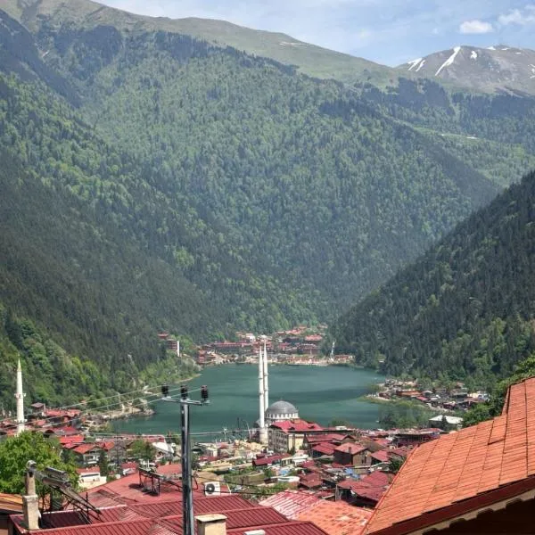 Şimo Suite Otel, hotel a Uzungöl