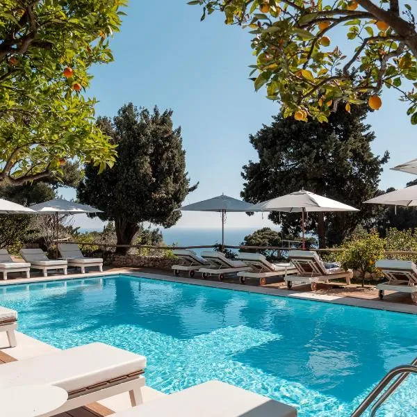 Hotel La Minerva, hotel in Capri