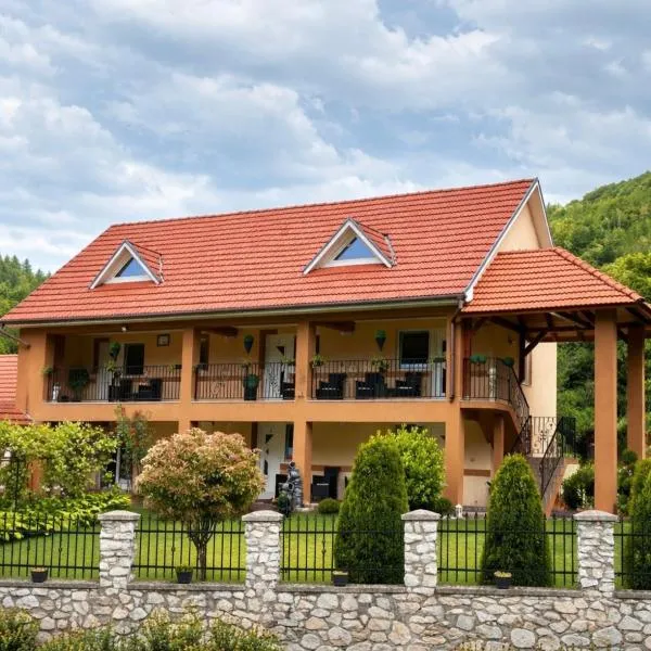 Casa Antonia, hotel a Chişcău