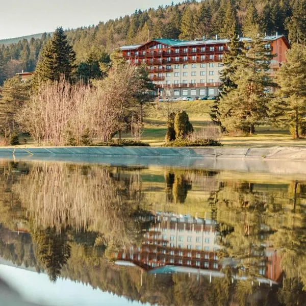 Hotel Partizán, hotell i Tale