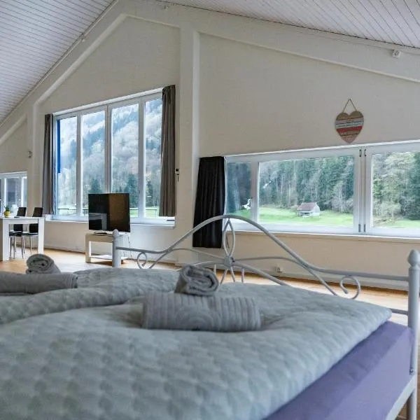 Muota River Loft & Muota Industry Apartment near Stoos, hotel v destinaci Muotathal