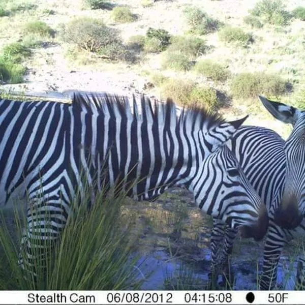 Achab Eco cabin, hotel Usakos városában