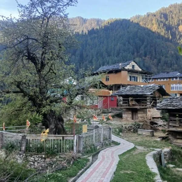 The Wild Pine Jibhi By sSangyaa, hotel in Jibhi