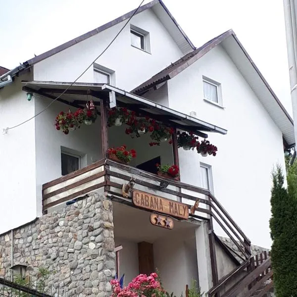 Cabana Maly, hotel in Petroşani