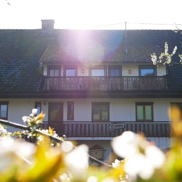 Bühlbauernhof, hotel in Bad Peterstal-Griesbach