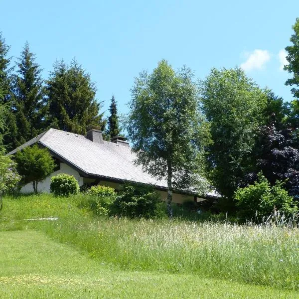 Amadeus Black Forest Mountain, hotel v destinaci Todtmoos